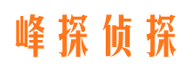 连城市婚姻调查